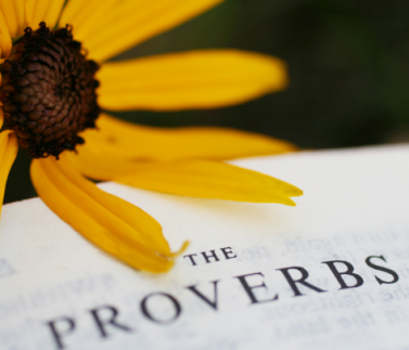 10 proverbi inglesi famosi e pieni di saggezza